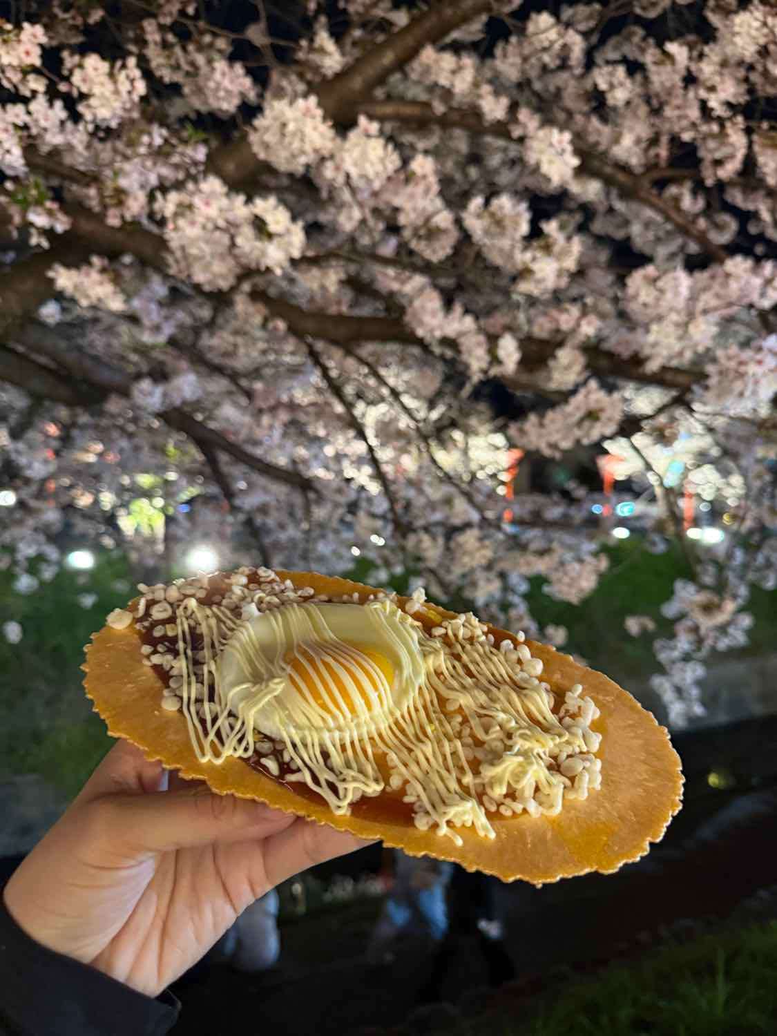 新しい新入社員が入りました！【奈良県・田中智之税理士事務所】